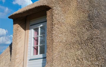 Hillway thatch roof disadvantages